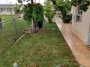Miami FL Lawn Care Service Lawn - Miami Fl Lawn Care 1787629