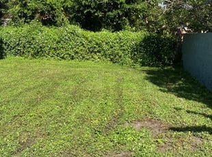 Miami FL Lawn Care Service Lawn - Miami Fl Lawn Care 1803192