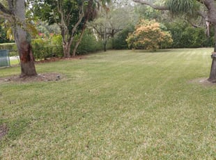 Miami FL Lawn Care Service Lawn - Miami Fl Lawn Care 1813608