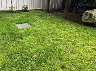 Middleburg, FL Lawn Care Service | Lawn Mowing from $19 ...