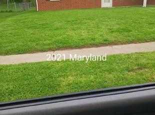 Middleburg, FL Lawn Care Service | Lawn Mowing from $19 ...