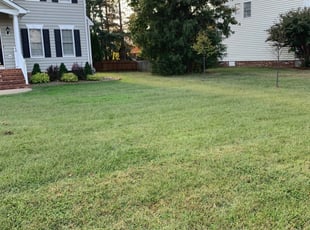 Craigslist Houston Farm And Garden For Sale By Owner