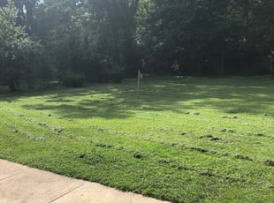 How Much Can A Landscaper Make In Missouri How Much Can A Landscaper Make In Missouri