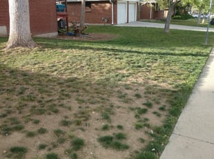 Moreno Valley Ca Lawn Care Service Lawn Mowing From 19 Rated Best 2021