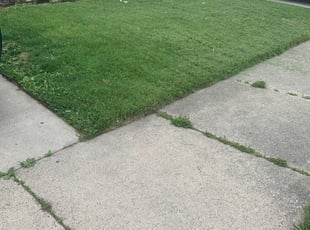 Moreno Valley Ca Lawn Care Service Lawn Mowing From 19 Rated Best 2021