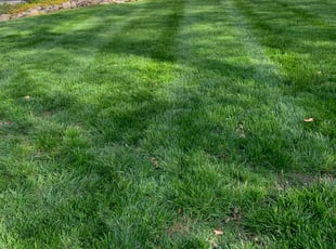 Moreno Valley Ca Lawn Care Service Lawn Mowing From 19 Rated Best 2021