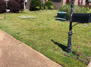 Moreno Valley Ca Lawn Care Service Lawn Mowing From 19 Rated Best 2021