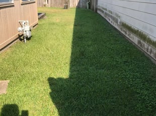 #1 Mount Prospect, IL Lawn Care Service | Lawn Mowing from ...