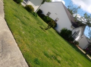 Mountain Top Pa Lawn Care Service Lawn Mowing From 19 Rated Best 2021