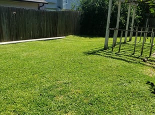 Mountain Top Pa Lawn Care Service Lawn Mowing From 19 Rated Best 2021