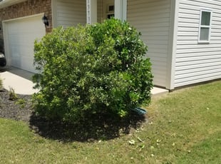 Mountain Top Pa Lawn Care Service Lawn Mowing From 19 Rated Best 2021