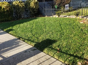 Mountain Top Pa Lawn Care Service Lawn Mowing From 19 Rated Best 2021
