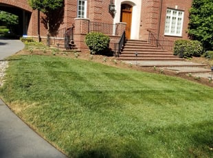 Mountain View Ca Lawn Care Service Lawn Mowing From 19 Rated Best 2021