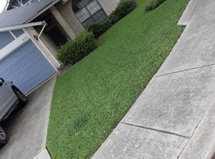 Mountain View Ca Lawn Care Service Lawn Mowing From 19 Rated Best 2021