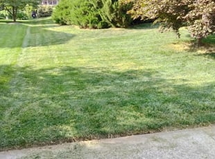 Karen S.'s Lawn Service service in Lawn King Of Nanuet