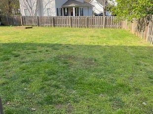 Mark L.'s Grass Cutting service in Lawn King Of Nanuet