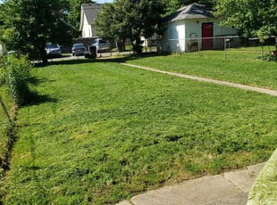 New Albany In Lawn Care Service Lawn Mowing From 19 Rated Best 2021