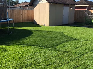 who did it lawn care