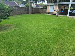 1 New Orleans La Lawn Care Service Lawn Mowing From 19 Best 2021