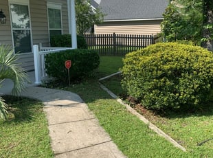 New Port Richey, FL Landscaping from $29 | #1 Landscapers | Best of 2021