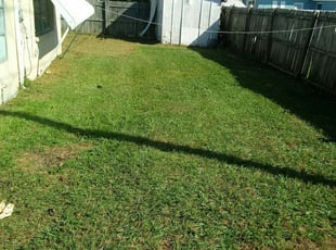 New Port Richey Fl Lawn Care Service Lawn Mowing From 19 Rated Best 2021