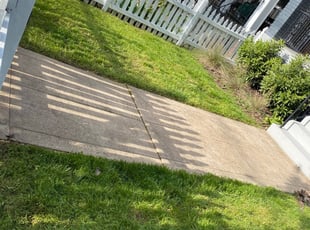 Newington Ct Landscaping From 29 1 Landscapers Best Of 2021