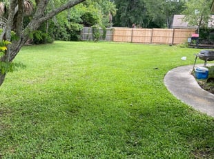 Newport News Va Lawn Care Service Lawn Mowing From 19 Rated Best 2021