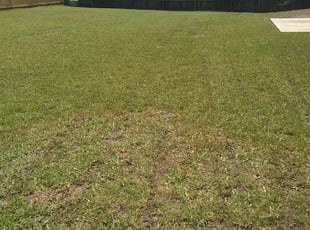 tanner lawn care on 1 Nicholasville Ky Lawn Care Service Lawn Mowing From 19 Best 2021