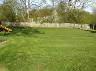 1 North Haven Ct Lawn Care Service Lawn Mowing From 19 Best 2021