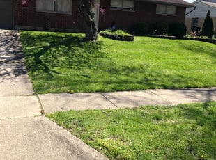 1 North Haven Ct Lawn Care Service Lawn Mowing From 19 Best 2021