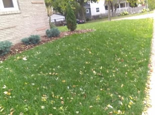 North Richland Hills Tx Lawn Care Service Lawn Mowing From 19 Rated Best 2021