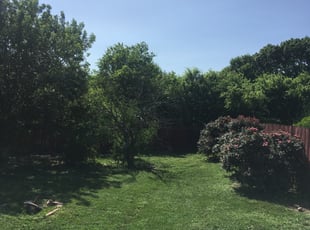 Oceanside Ca Lawn Care Service Lawn Mowing From 19 Rated Best 2021