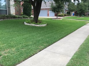 Lawn Care Services In Omaha Nebraska - The 10 Best Lawn Care Services In Omaha Ne With Free Quotes / Get matched with top cleaning services in omaha, ne.