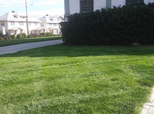 Omaha Ne Lawn Care Service Lawn Mowing From 19 Lawnstarter