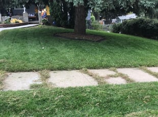 Omaha Ne Lawn Care Service Lawn Mowing From 19 Lawnstarter