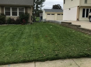 Best Lawn Care Companies Omaha - Landscaping Companies In Omaha Nebraska Five Star Mowing / Top notch lawn care lawn services in omaha, ne.