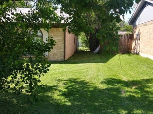 1 Orange Park Fl Lawn Care Service Lawn Mowing From 19 Best 2021