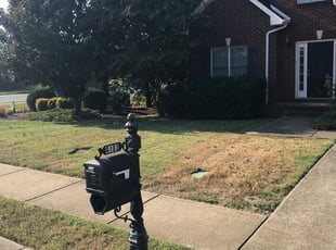 1 Orlando FL Lawn Care Service - Orlando Fl Lawn Care 265711