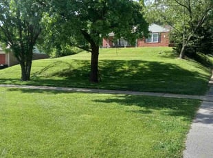 Orlando FL Lawn Care Service - Orlando Fl Lawn Care 810503
