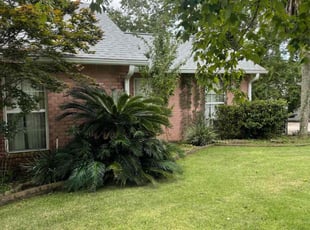 Orlando FL Lawn Care Service - Orlando Fl Lawn Care 940291