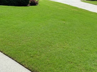 Palm Bay Fl Lawn Care Service Lawn Mowing From 19 Lawnstarter