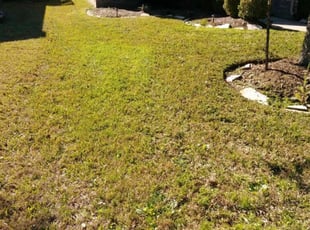 Ralph M.'s Lawn Service service in Giovanni's Lawn Treatment & Lawnscape
