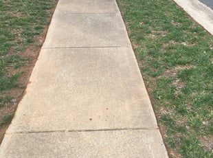 Crystal G.'s Yard Cutting service in Gilberto Barton's Lawn Care Service