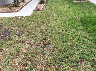 Jim P.'s Grass Cutting service in Nate's Scapes