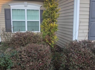 Melba F.'s Lawn Care service in E&E Lawn Services