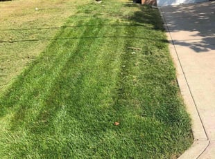 Shawn C.'s Lawn Mowing service in G&C lawn care