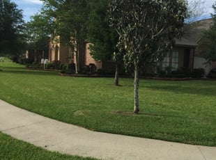top notch lawn care wichita ks
