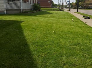 Lola L.'s Landscaping service in Mpm Landscaping Inc