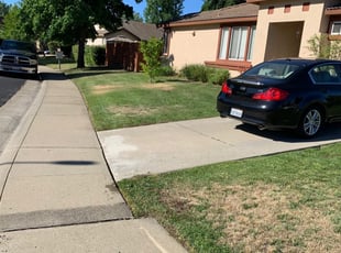 Danielle M.'s Landscaping service in Mpm Landscaping Inc