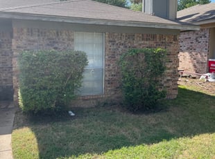 Andy C.'s Landscaping service in Mpm Landscaping Inc